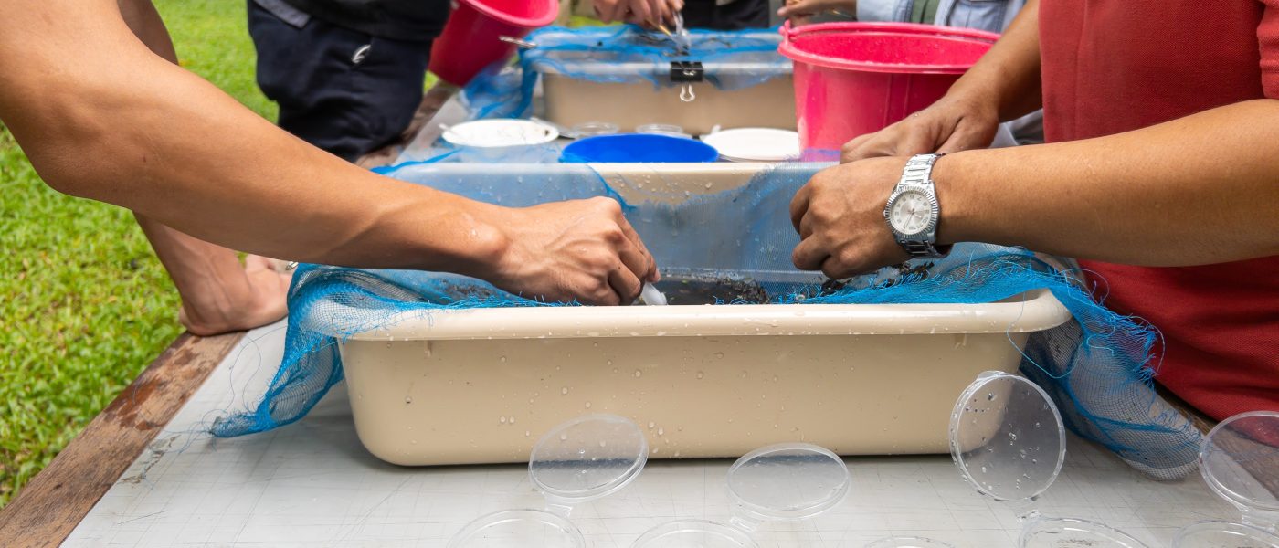 Sobre los macroinvertebrados y la calidad del agua en Quito  