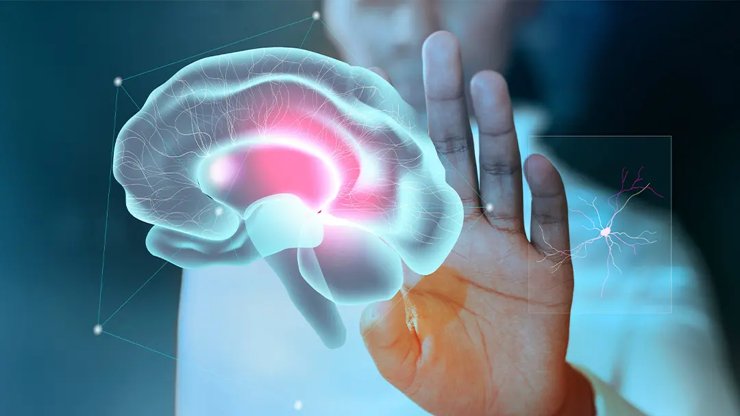 Conocimiento el conocimiento del cerebro