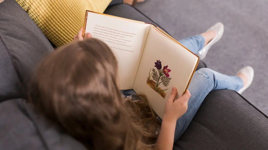 libro de aprendizaje
