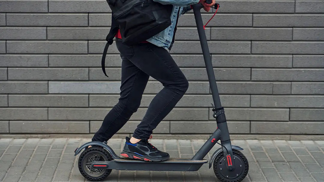 patineta patineta