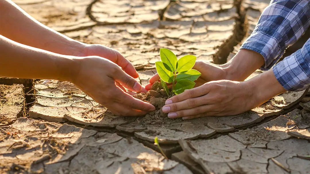 Resilencia-con-la-naturaleza