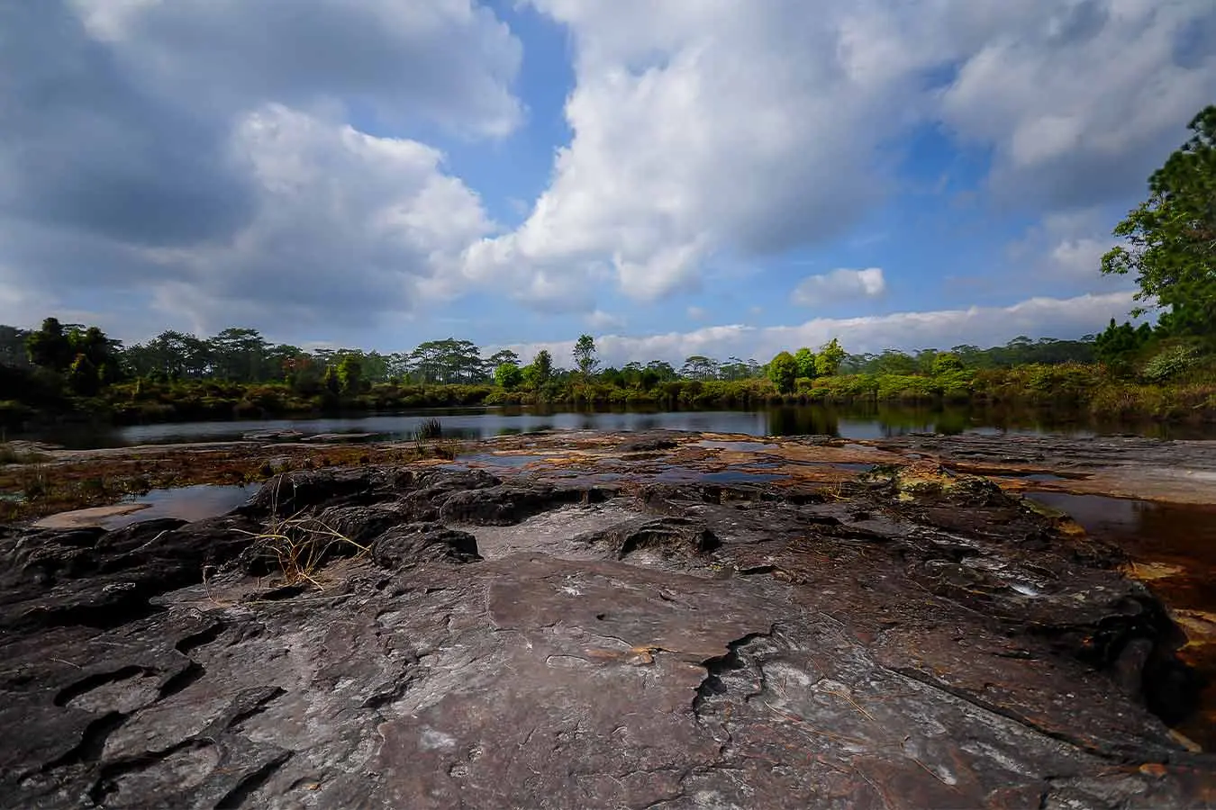Contaminación de las aguas subterráneas en la Amazonía ecuatoriana