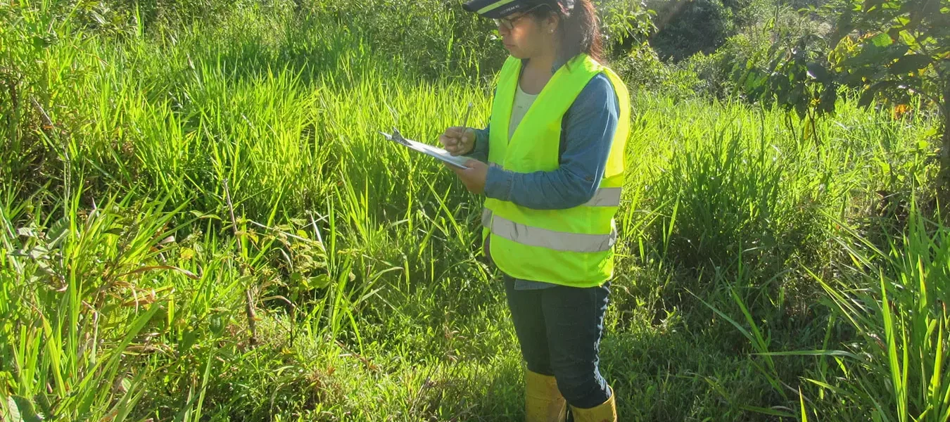 Nueva especie de planta en la Cordillera del Cóndor, Ecuador