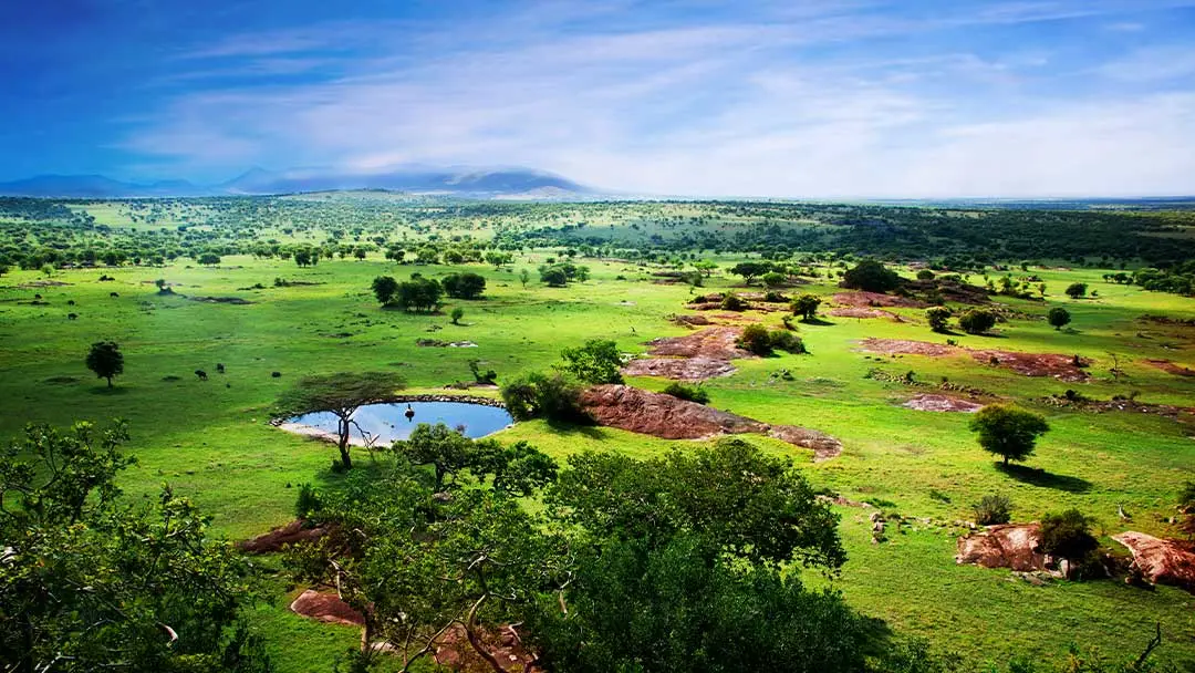Tanzania Tanzania