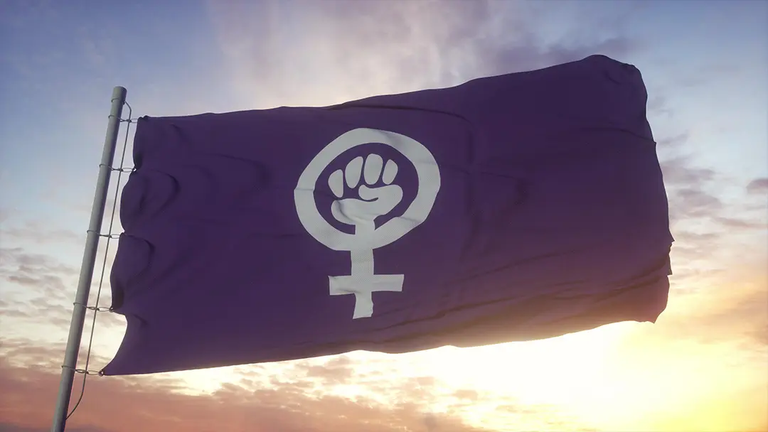 consgnia-feminista