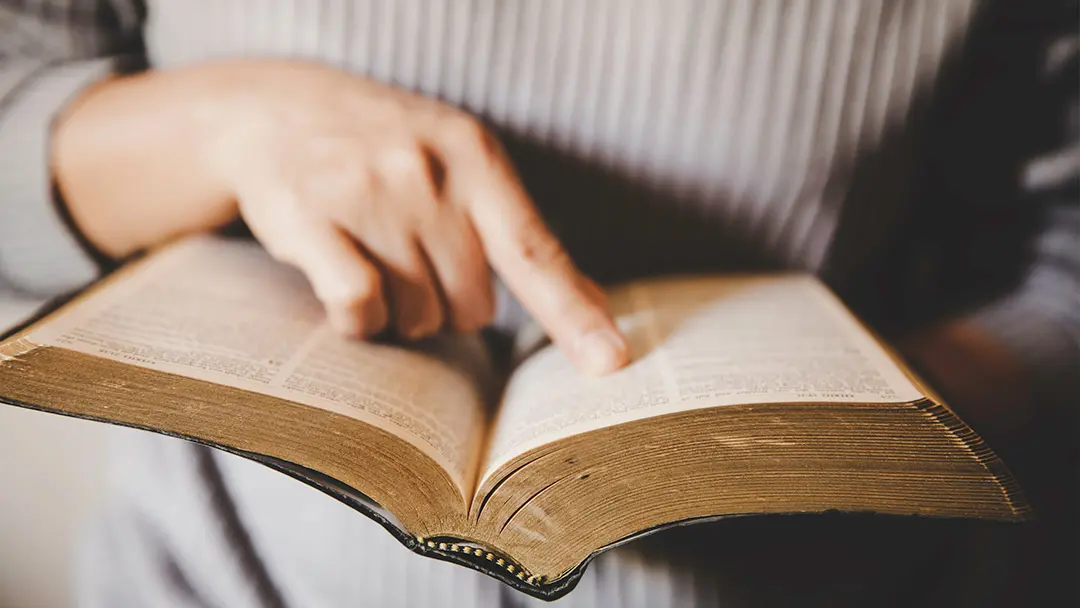 biblia biblia
