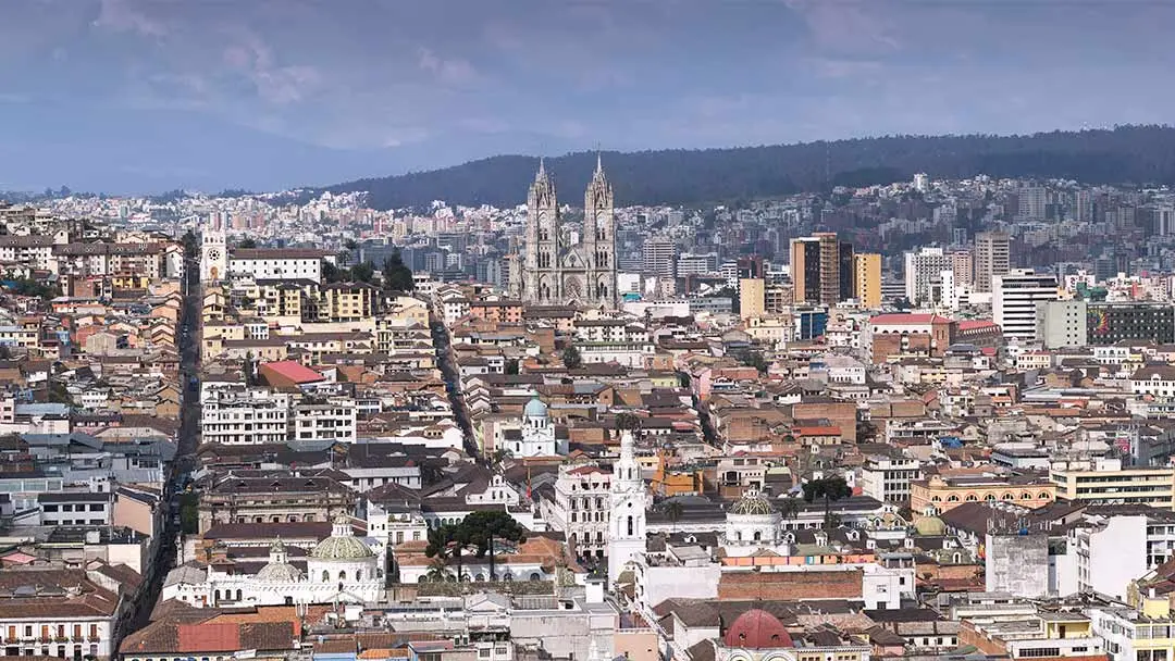 quito quito