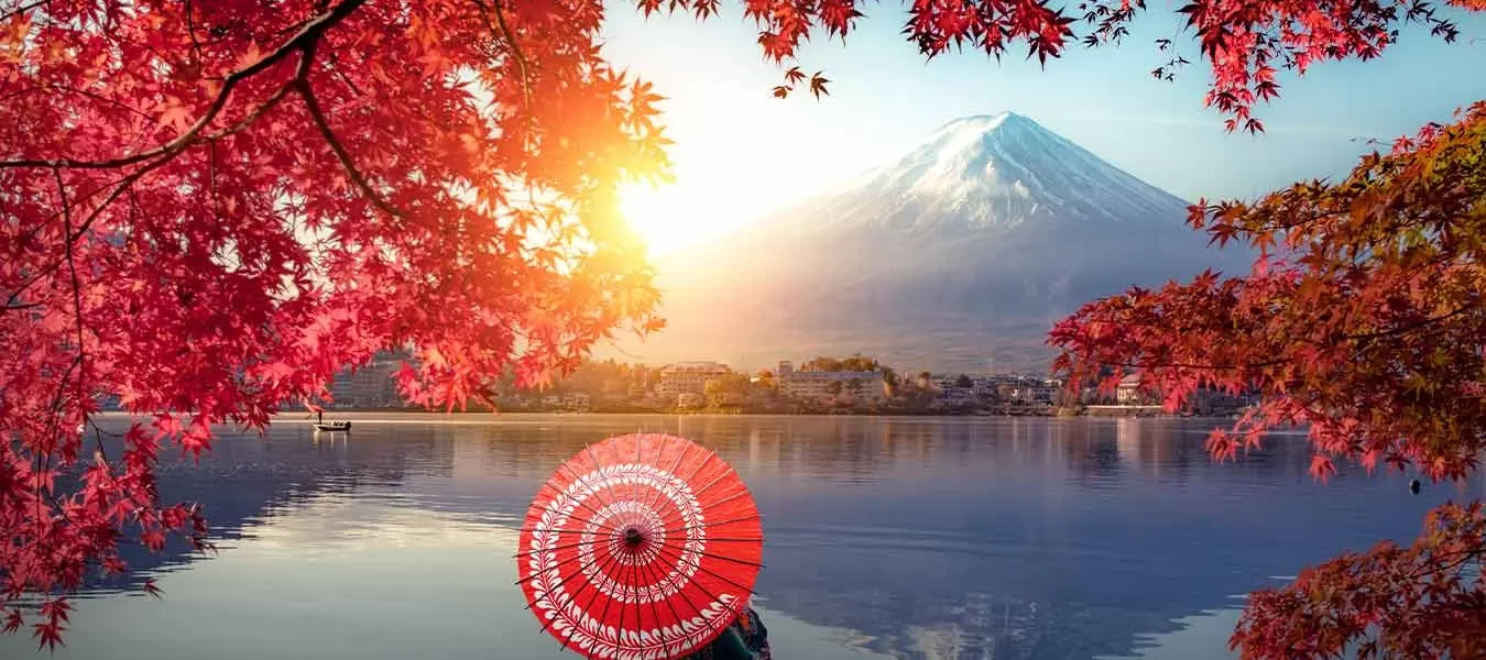 “Lo bello y lo triste”: un libro japonés que no te puedes perder