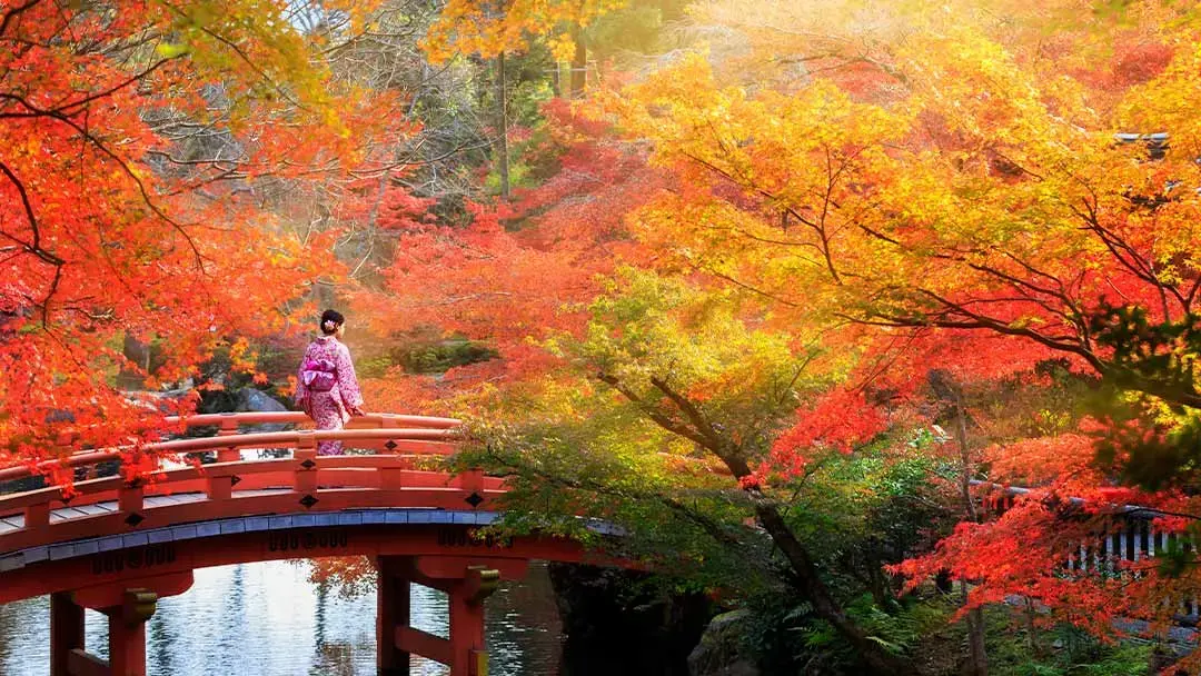 puente-de-japon (1) puente-de-japon (1)