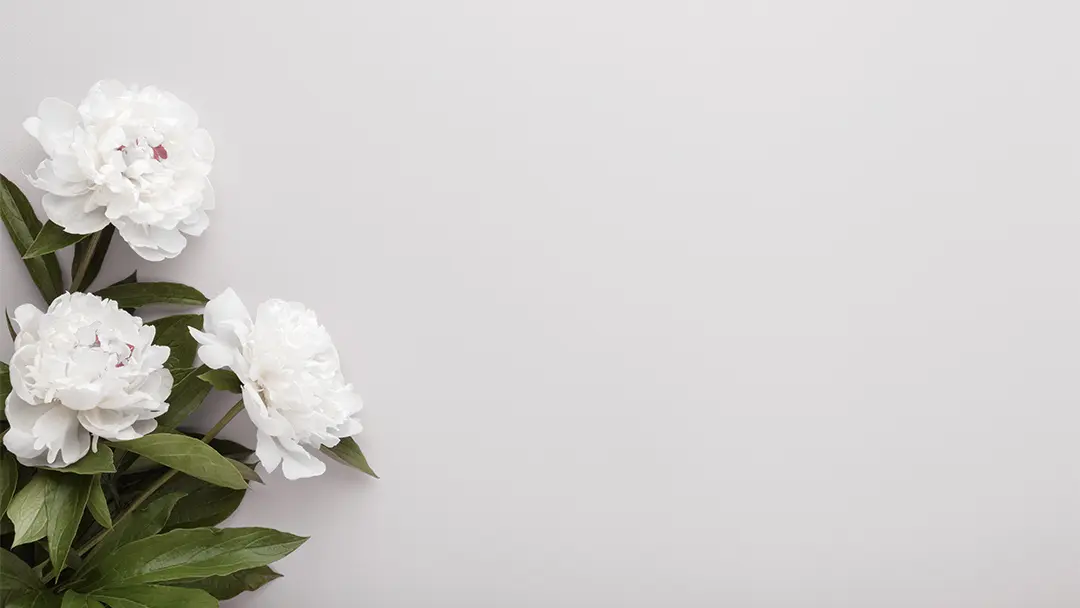 flores-blancas
