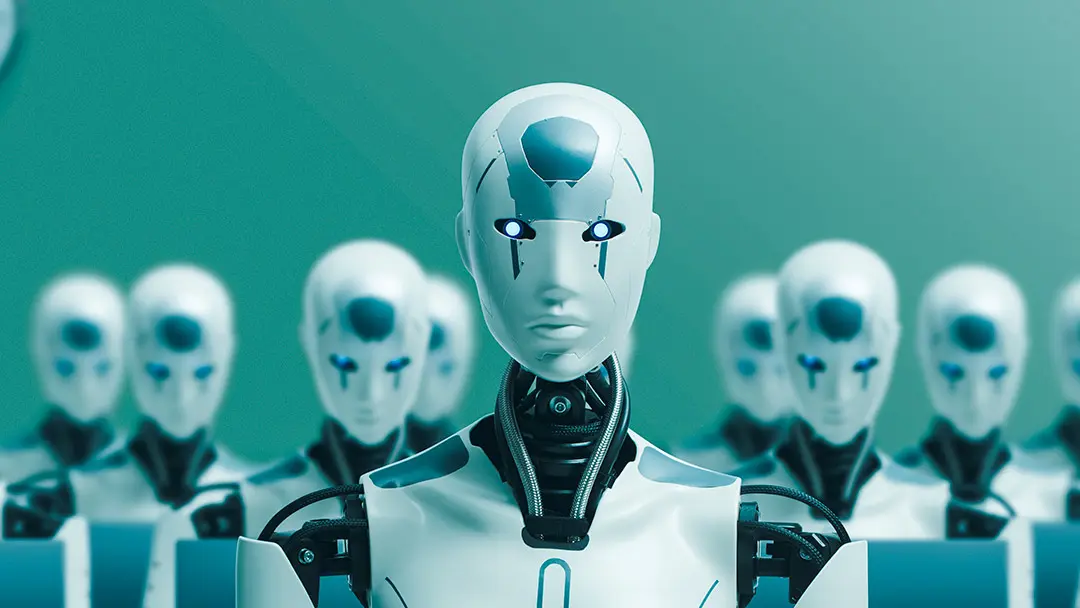 robots robots