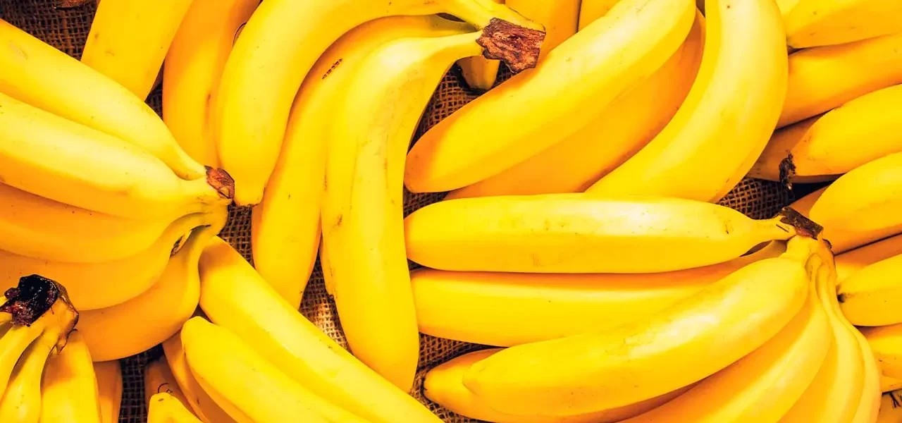 ¿Qué hay con los residuos orgánicos de la industria bananera?