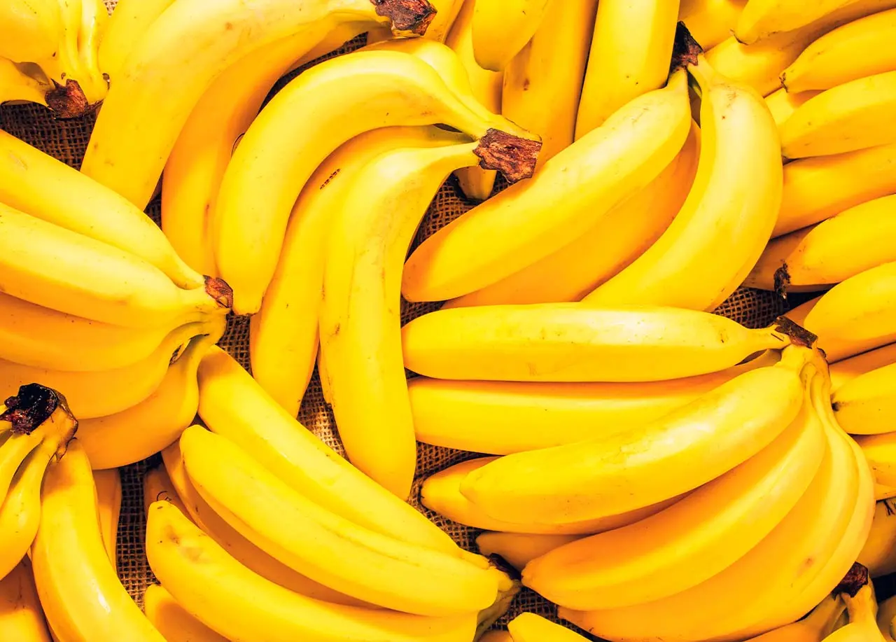 ¿Qué hay con los residuos orgánicos de la industria bananera?