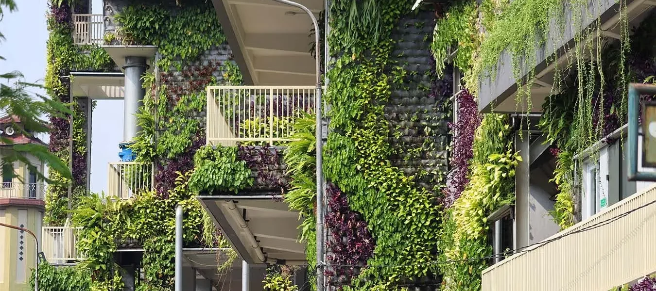 ¿Qué son y para qué sirven los servicios ecosistémicos en la arquitectura? 