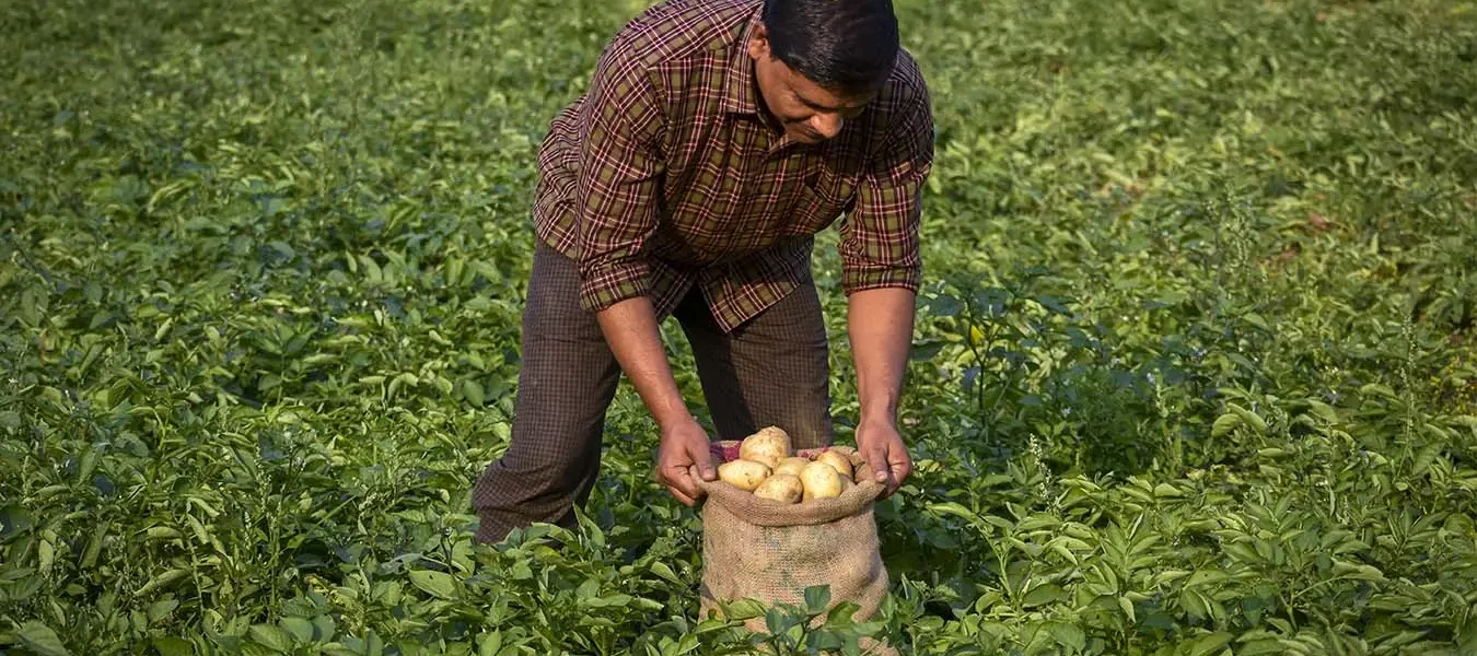 El valor de los alimentos en comunidades indígenas ecuatorianas