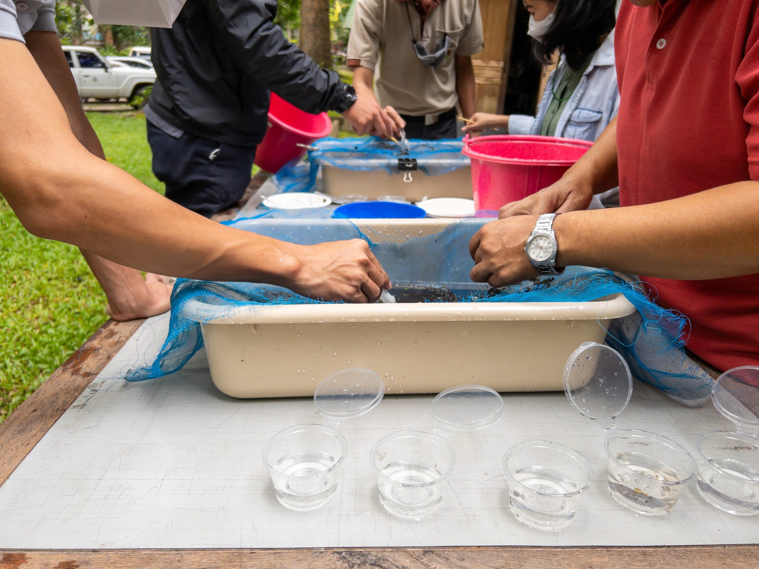 Sobre los macroinvertebrados y la calidad del agua en Quito  