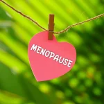 La menopausia y el cerebro: ¿una conexión inesperada?