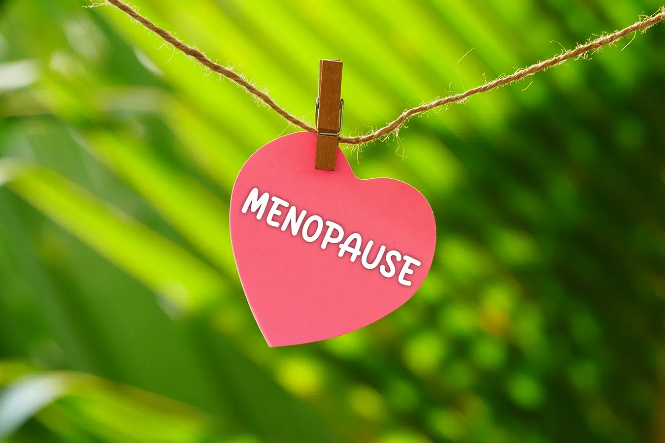 La menopausia y el cerebro: ¿una conexión inesperada?