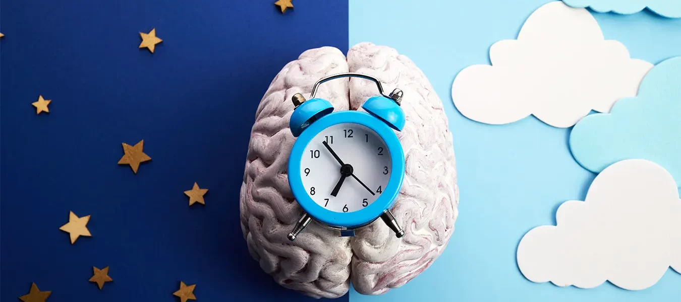¿Cómo las horas de sueño afectan el rendimiento académico? 