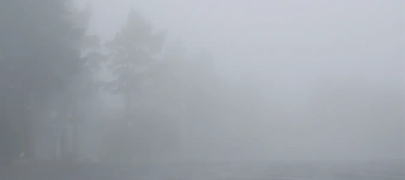 La Niebla, Stephen King 