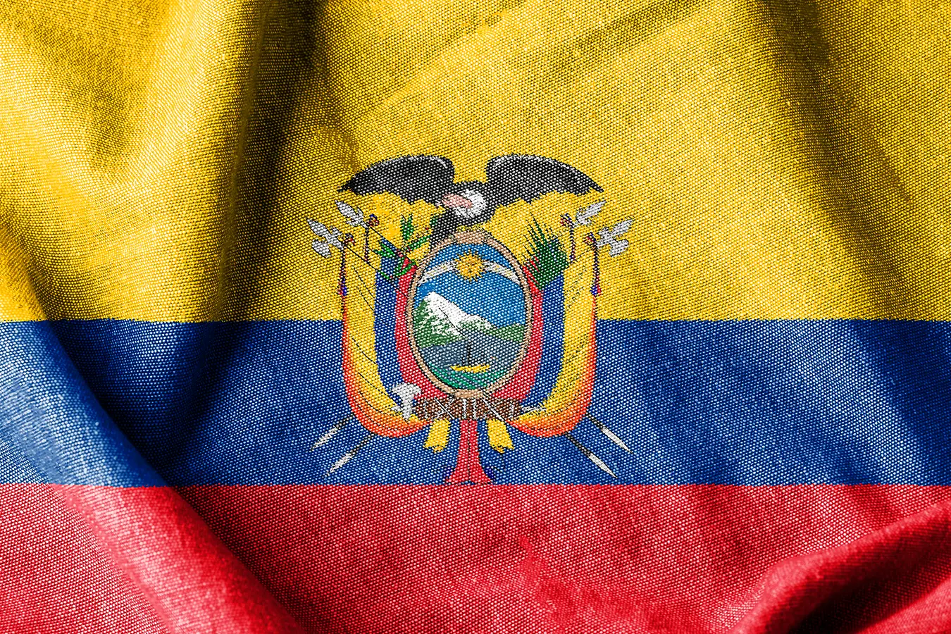 Uso y abuso de garantías jurisdiccionales en Ecuador