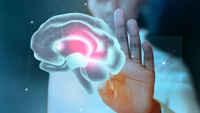 el conocimiento del cerebro